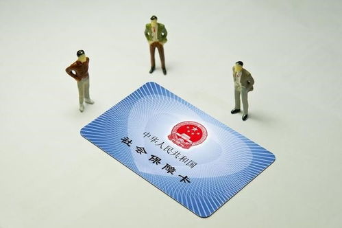 烟台开发区社保个人代理服务指南 灵活就业与咨询全解析